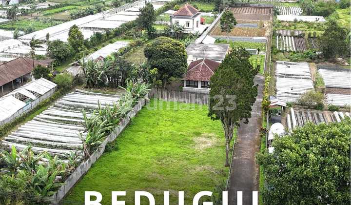 Tanah dan Bangunan Bedugul Jalan Utama 500 Meter Dari Bali Handa