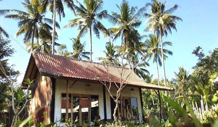 Rumah Pantai Medewi Pemandangan Hutan Sawah Dan Sungai 1