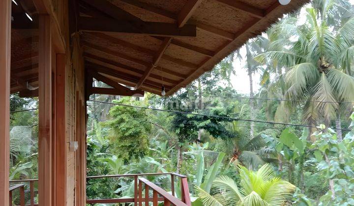 Rumah Pantai Medewi Pemandangan Hutan Sawah Dan Sungai 7