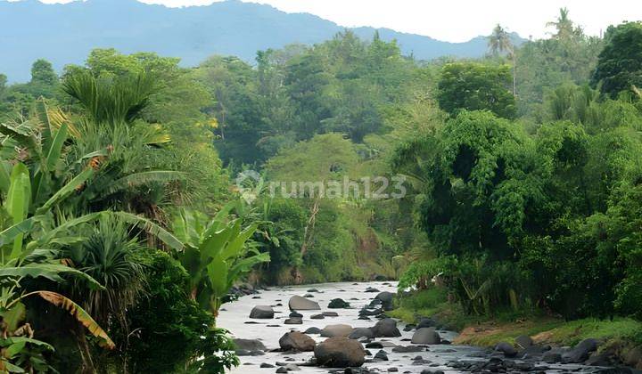 Rumah Pantai Medewi Pemandangan Hutan Sawah Dan Sungai 8
