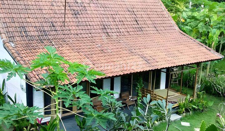 Rumah Pantai Medewi Pemandangan Hutan Sawah Dan Sungai 10