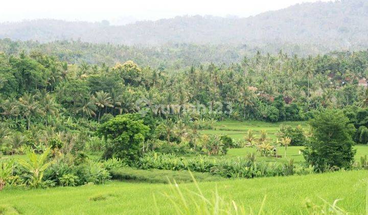 Rumah Pantai Medewi Pemandangan Hutan Sawah Dan Sungai 11