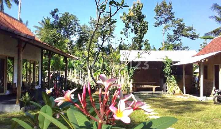 Rumah Pantai Medewi Pemandangan Hutan Sawah Dan Sungai 13