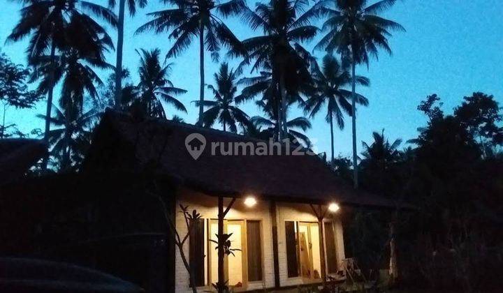 Rumah Pantai Medewi Pemandangan Hutan Sawah Dan Sungai 18