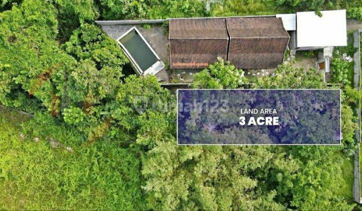 Tanah Sewa Pecatu 2 Km Menuju Pantai Uluwatu 1