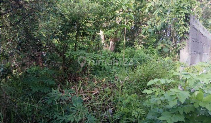 Tanah Sewa Pecatu 2 Km Menuju Pantai Uluwatu 4
