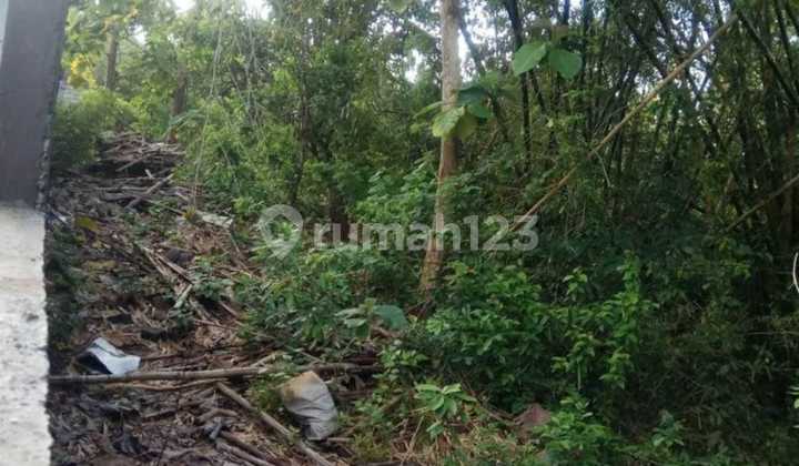Tanah Sewa Pecatu 2 Km Menuju Pantai Uluwatu 11
