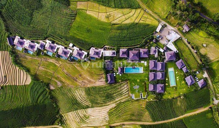 Villa Dan Resort Selemadeg Tabanan Pemandangan Sawah 2