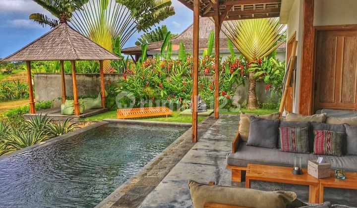 Villa Dan Resort Selemadeg Tabanan Pemandangan Sawah 11