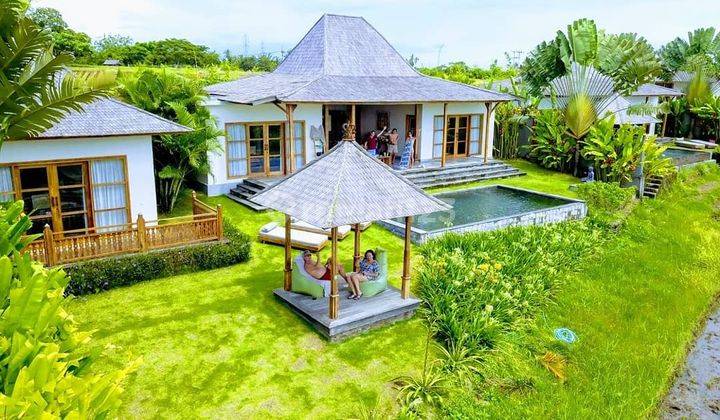Villa Dan Resort Selemadeg Tabanan Pemandangan Sawah 14