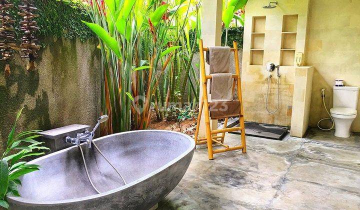Villa Dan Resort Selemadeg Tabanan Pemandangan Sawah 15