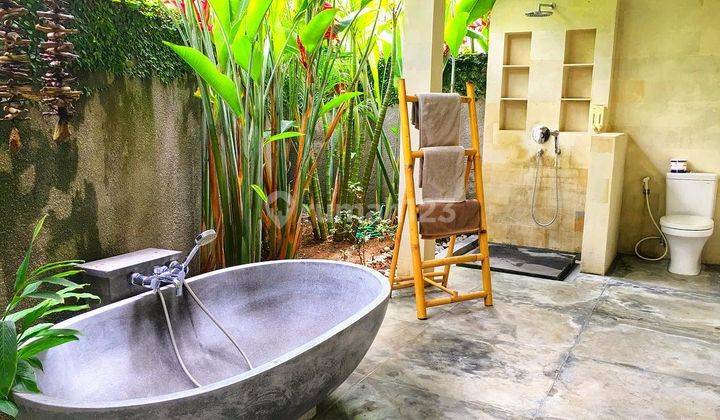 Villa Dan Resort Selemadeg Tabanan Pemandangan Sawah 19