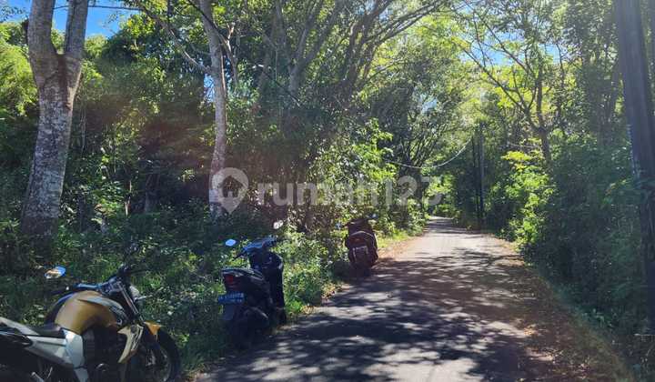 Tanah Pemandangan Laut Sawangan Nusa Dua 5
