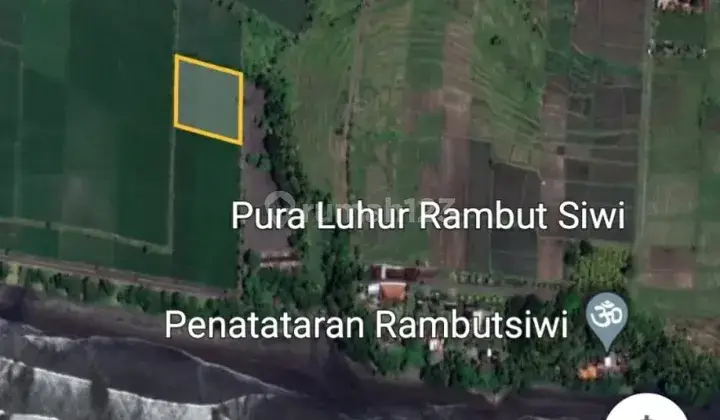 Tanah 200 Meter Ke Pantai View Sawah di Pantai Jembrana 6