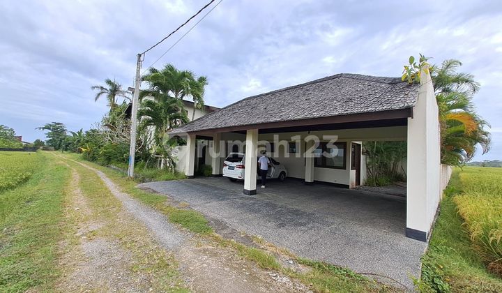 Villa Pantai Beraban 100 Meter Menuju Pantai Pemandangan Sawah