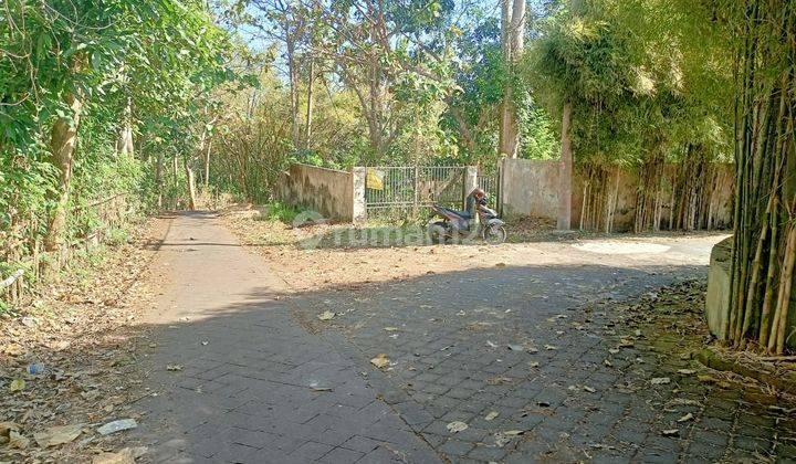 Tanah Pecatu Belimbing Sari Jalan Utama Lingkungan Villa 7