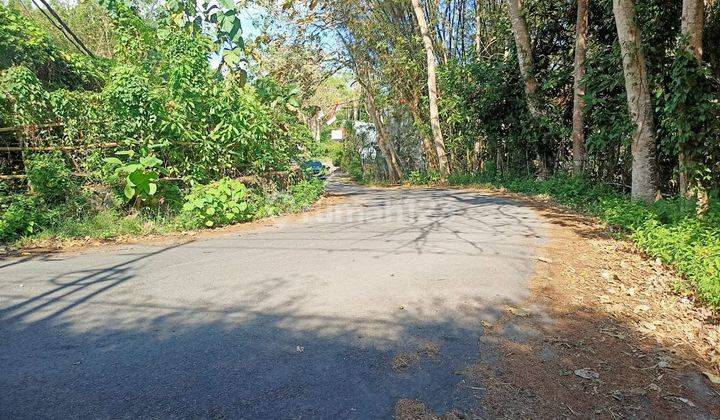 Tanah Pecatu Belimbing Sari Jalan Utama Lingkungan Villa 8
