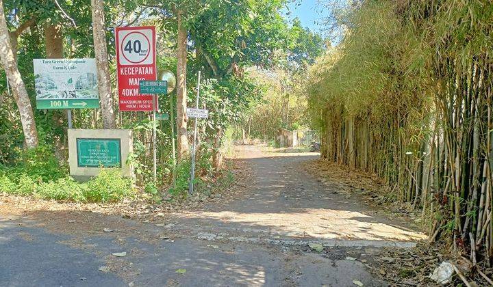 Tanah Pecatu Belimbing Sari Jalan Utama Lingkungan Villa 10