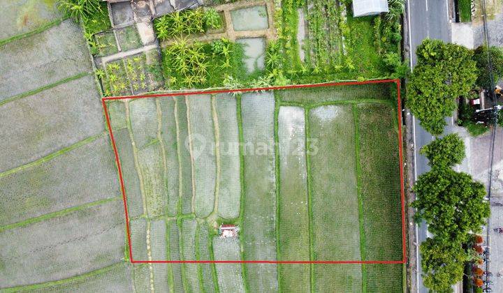 Cheap land on Main Street Kebo Iwa Denpasar 2