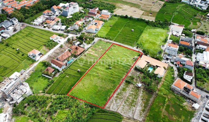 Tanah Jalan Abasan Canggu Link Villa View Sawah 2