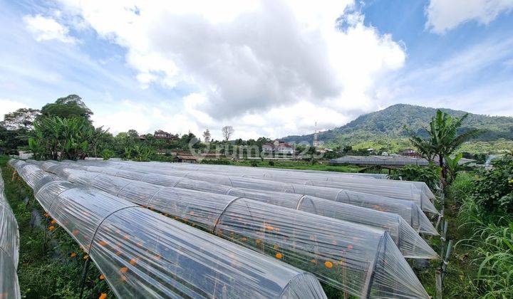 Tanah Pemandangan Danau Buyan Bedugul 1