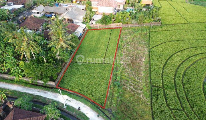 Tanah View Sawah Tibubiyu Pasut Tabanan Bali 2