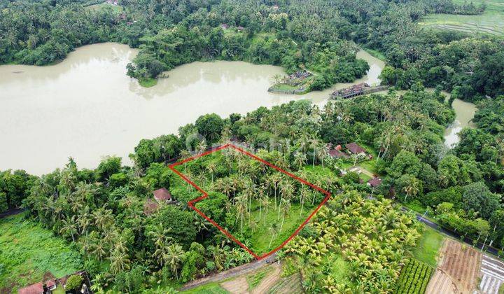 Cheap Land at Telaga Tunjungan Timpag Dam  1