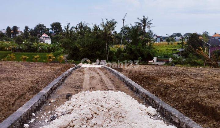 Plot of land located in Tumpak Banyuh Canggu 1