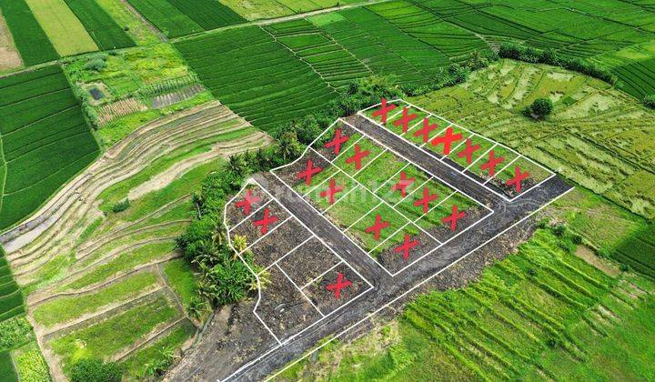 Plot of land with rice field view, one gate system, Kedungu Beach, Bali 1