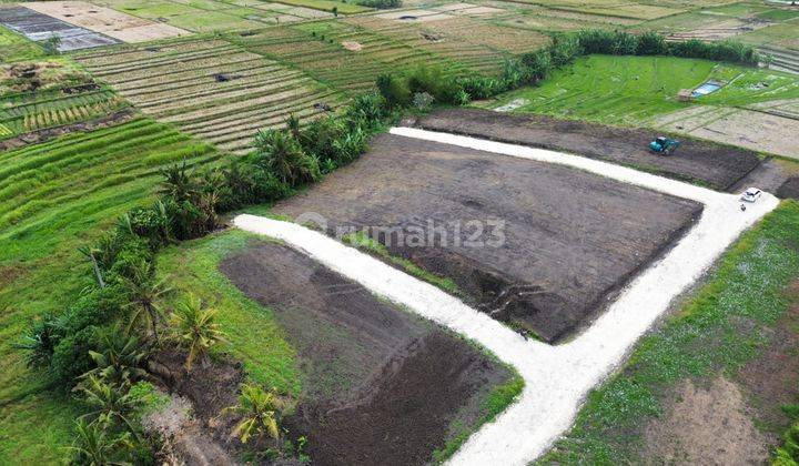 Plot of land with rice field view, one gate system, Kedungu Beach, Bali 2