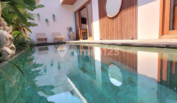 Villa Baru Di Seputar Kayu Tulang Utara Canggu Bali Villa Baru Di Seputar Kayu Tulang Utara Canggu Bali
