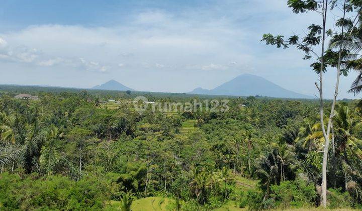 Tanah Plot Kecil Pemandangan Hutan Tegalalang Ubud Bali 1