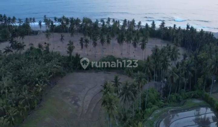 Tanah Pemandangan Laut Kawasan Turis Tabanan 2