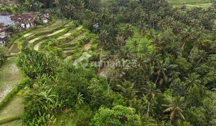 Land With Jungle View Payangan Ubud Bali 2