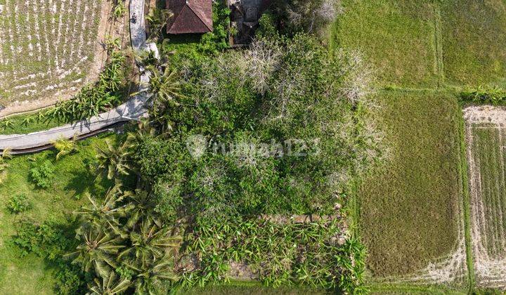 Tanah Plot Kecil Lingkungan Villa Singakerta Gianyar Bali 2