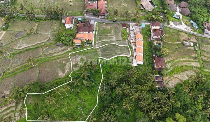 Tanah Dengan Pemandangan Sungai Los Kenderen Ubud Bali 2