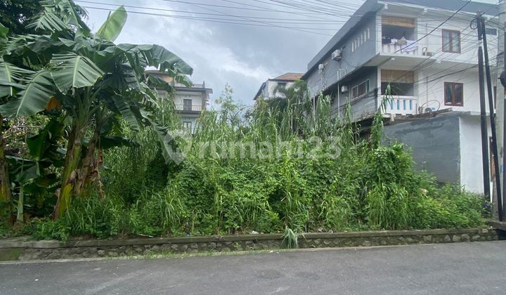 Tanah Kecil Link Villa Guest House Dewi Sri Legian Bali 1