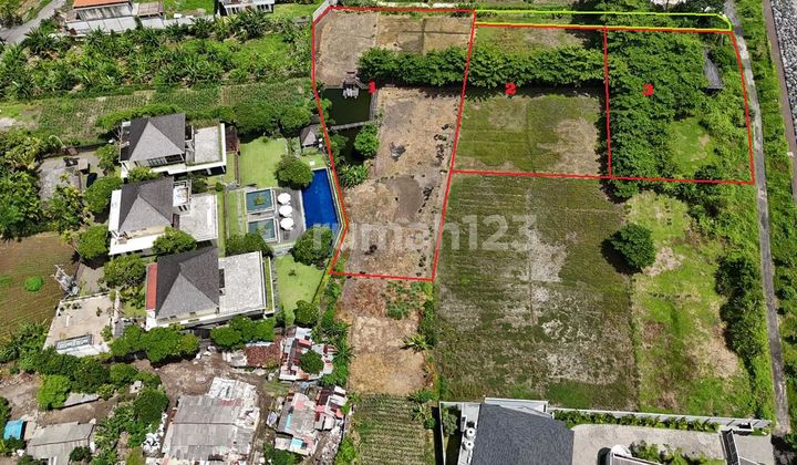 Leasehold Tanah Los Pantai Padang Galak Sanur Bali