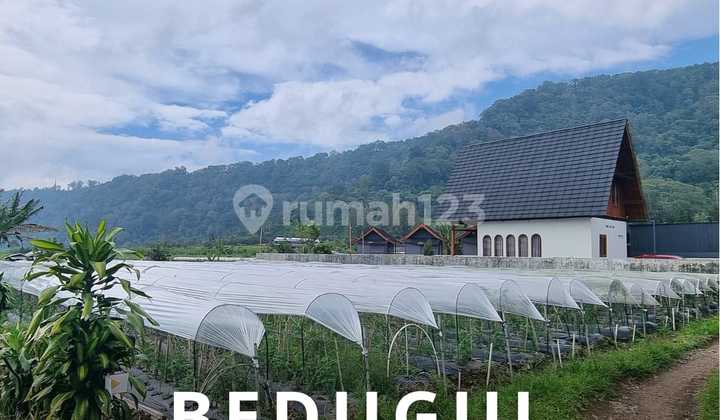Land Bedugul Lake Buyan Near Bali Farm House Land Bedugul Lake Buyan Near Bali Farm House