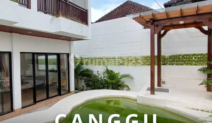 Villa Canggu Tibubeneng 10 Menit ke Pantai