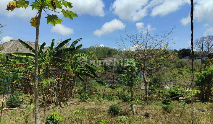 Small Plot Land Link Villa Tundun Penyu Balangan Bali 2