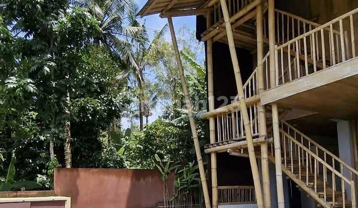Villa Modern Bamboo Pemandangan Hutan dan Sungaitabanan Bali