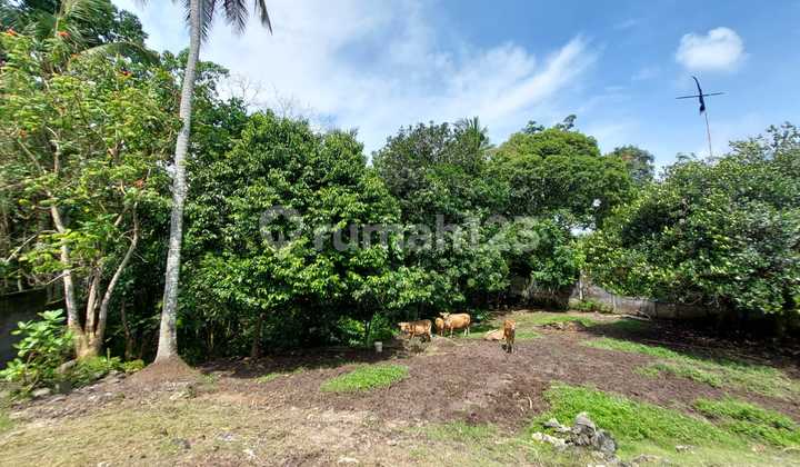 Tanah Los Sungai Di Dekat Pantai Nyanyi Bali