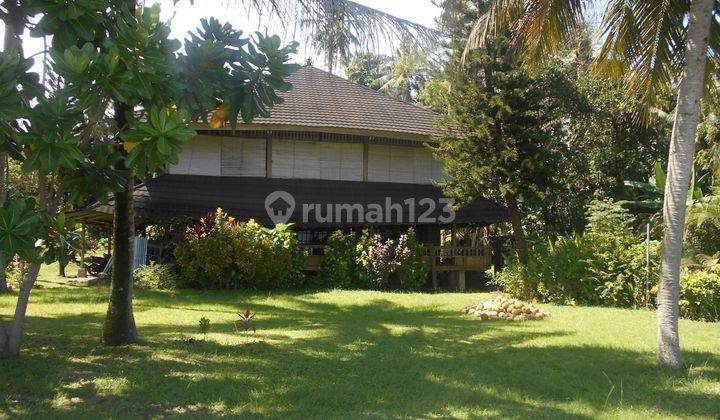 Beach Front Resort Tateli Manado 3