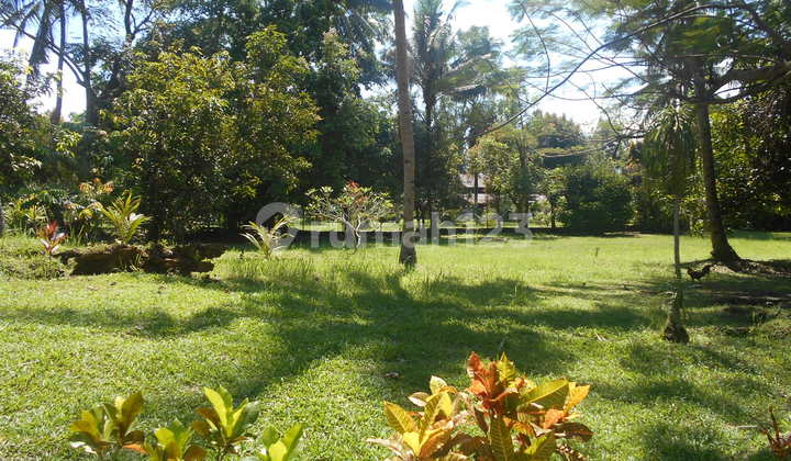 Beach Front Resort Tateli Manado 5