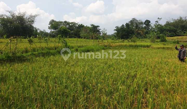 Dijual Tanah Daerah Purwakarta Lokasi Strategis Cocok Untuk Pergudangan Atau Pabrik