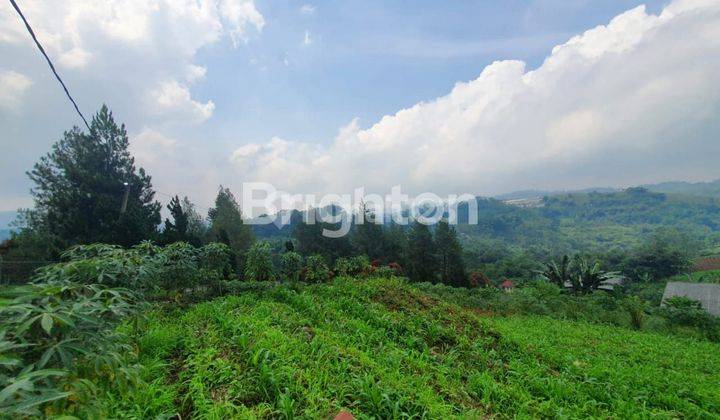 TANAH PUNCAK TAMAN NUSANTARA CIBADAK CIPANAS 1