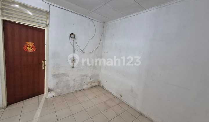 Old House Requires Total Renovation Land Area 136 Coconut Trees 2