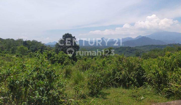 Tanah Kebon Dekat Jalan Utama Di Cariu Bogor 1