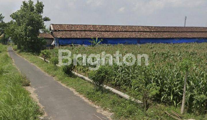 TANAH ZONA MERAH PEKARANGAN DEKAT BOYOLALI, KLATEN 2